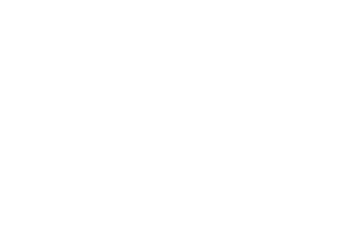 林智慧